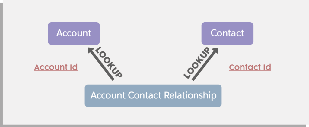 Account Contact Relationship Data Structure