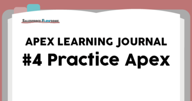 Apex Learning Journal #4 – How To Practice Apex