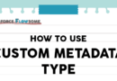 Flow: How To Use Custom Metadata Type