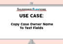 Use Case: Copy Case Owner Name To Text Fields